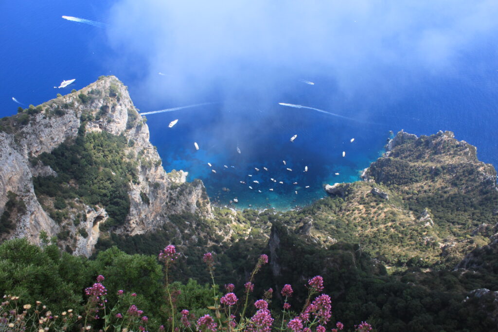 View of the ocean from the top of Anacapri. You can see boats in the bright blue water. In the midground of the photo, you'll find a rocky landscape, studded with shrubbery. In the foreground, pink wild flowers bloom into the frame
